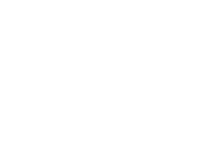Logo de arcadia en color blanco